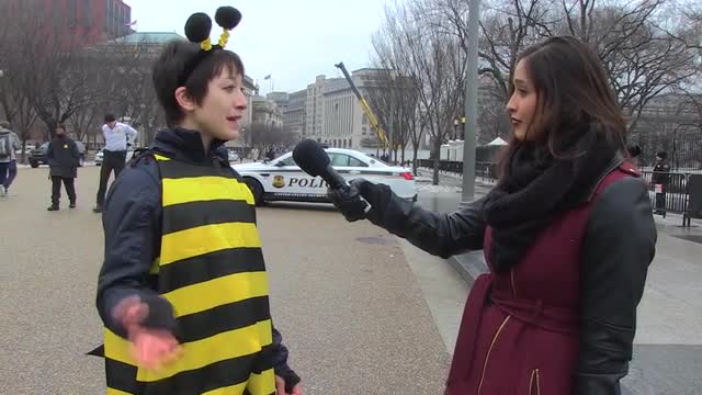 Bee Activists Swarm White House Demanding Stricter Pesticide Regulations
