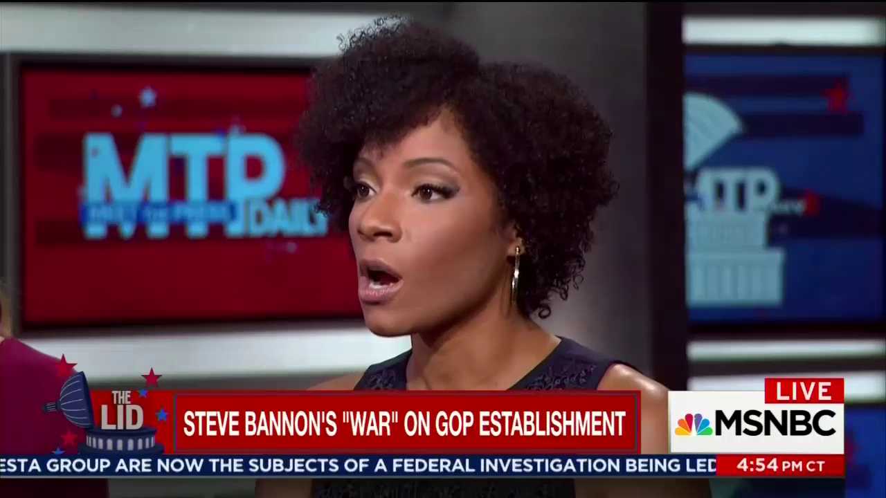 MSNBC Guest Claims Voter ID Laws Made It 'Impossible' for Blacks to Vote