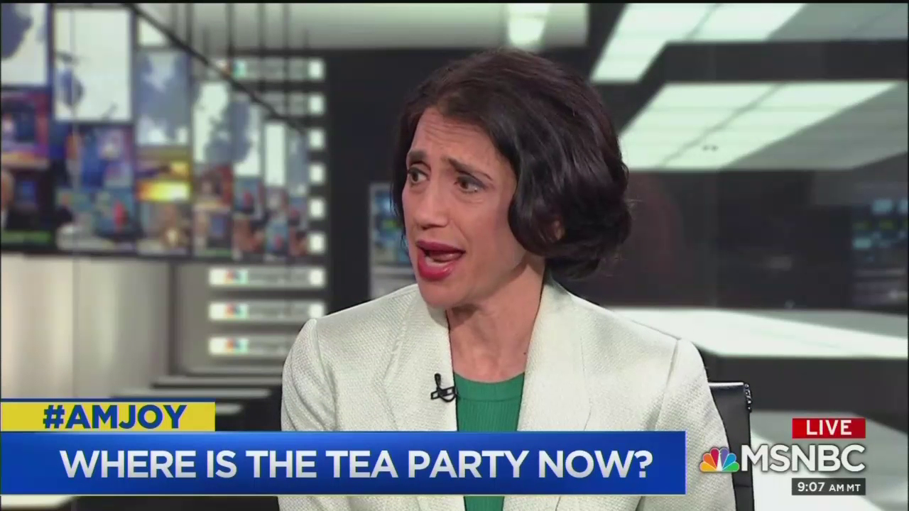 MSNBC Panel Reflects on Tea Party, Implicates Race