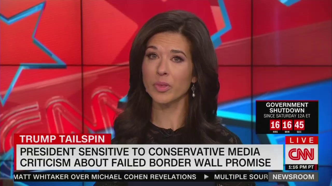 CNN Frets Trump Caving to Coulter, Limbaugh on Border Wall